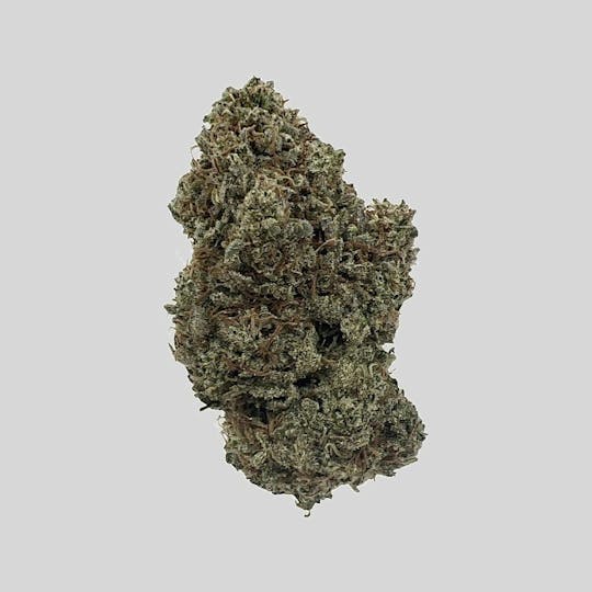 Indico - GMO Zkittles - 1