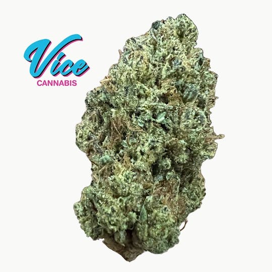 Vice Cannabis - Motorbreath (Chemdog x SFV OG): Greenhouse Flower - 1