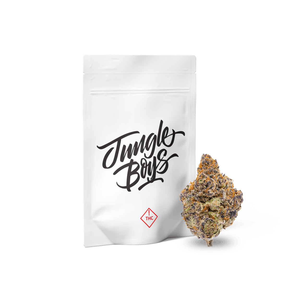 Mimosa⭐︎ Buy Mimosa Seeds | Germination Guarantee | ILGM