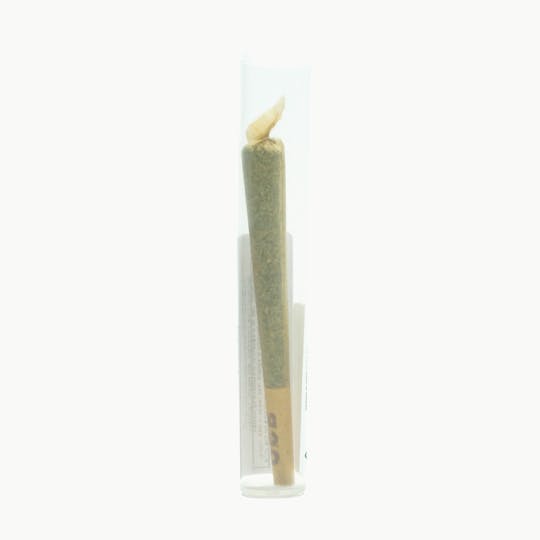 Pincanna - Pincanna - Roadkill OG - (1g preroll) - 1