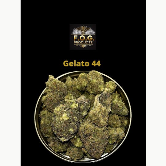 FOG Products - Gelato 44 *BUDGET TIER* - 1