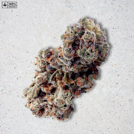 PARADISE SMOKES - Paradise Flower - Cotton Candy Grapes (3.5g) - 1