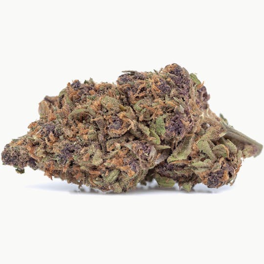 Enlighten - Forbidden Fruit - 1