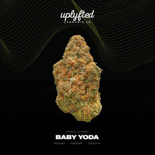 Uplyfted Cannabis Co - Baby Yoda Bulk- Deli - 1