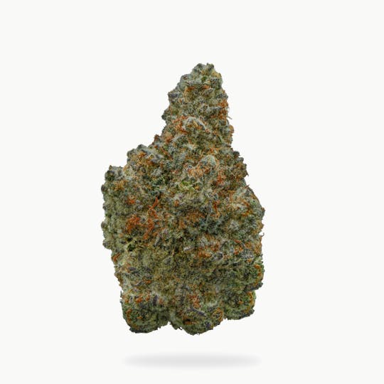 Uplyfted Cannabis Co - Biscoff Bulk- Deli - 1