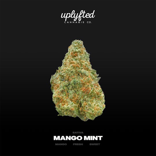 Uplyfted Cannabis Co - Mango Mint Bulk- Deli - 1