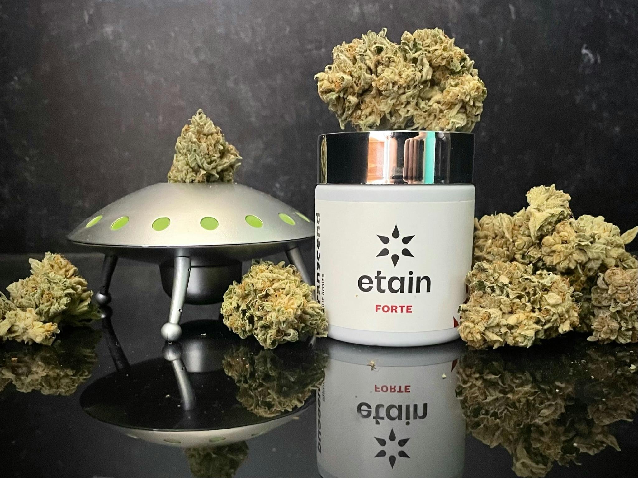 Etain - Forte Whole Flower - Alien Cookies (AC) - 1