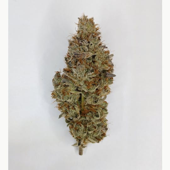 Kismet Wellness - Cookie OX - 1