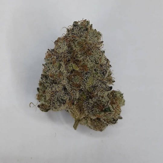 Kismet Wellness - Yuck Mouth - 1