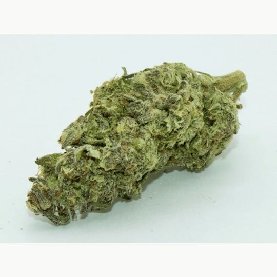 Trusty Transportations - Gush Mints 8th/3.5Grams (30% THC, Hybrid) - 1