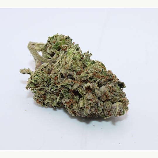 Trusty Transportations - Purple Punch 1/2 Ounce/14 Grams (BIGS) (24% THC, Indica) - 1