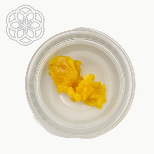 Crux Cannabis - 1g High Terpene Badder - Pontiac Black - 1