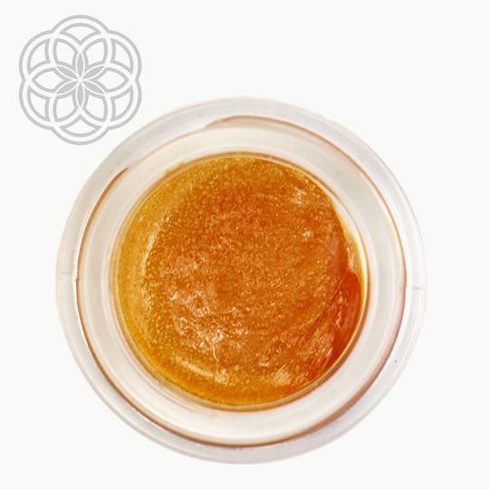 Crux Cannabis - 1g Terp Sauce - Russian Cream - 1