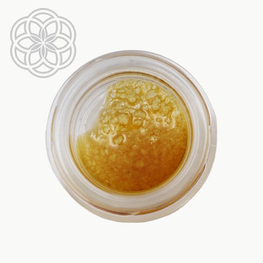 Crux Cannabis - 1g Terp Sauce - Turbo Diesel - 1