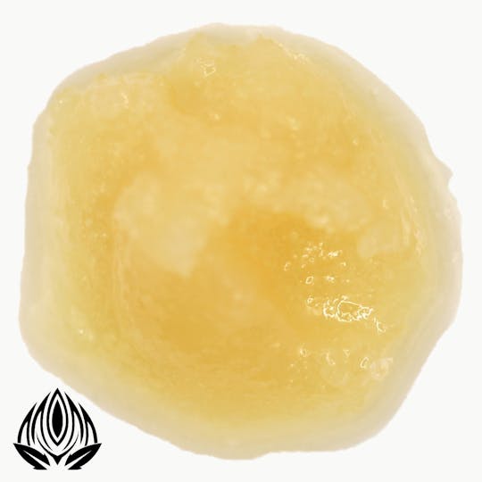 Peak Maine Cannabis - Stankonya Cured Badder - Peak Maine - 1