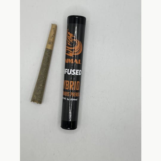 Animal - Animal Infused Joint Preroll- Hybrid - 1