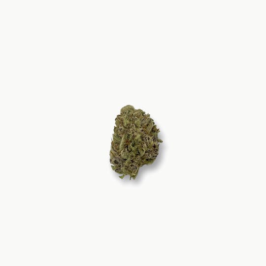 Alaska Cannabis Exchange - Bear Berry Flower - 1