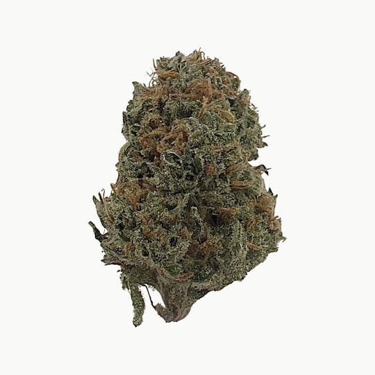 Northeast Growing Company - Cheese Quake - 1