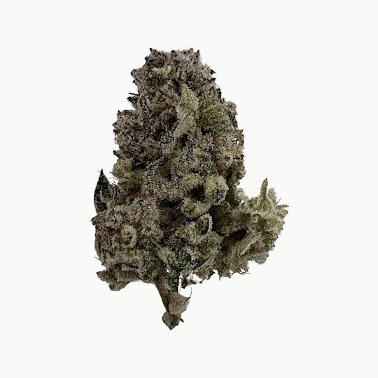 Northeast Growing Company - Mimosa Evo - 1