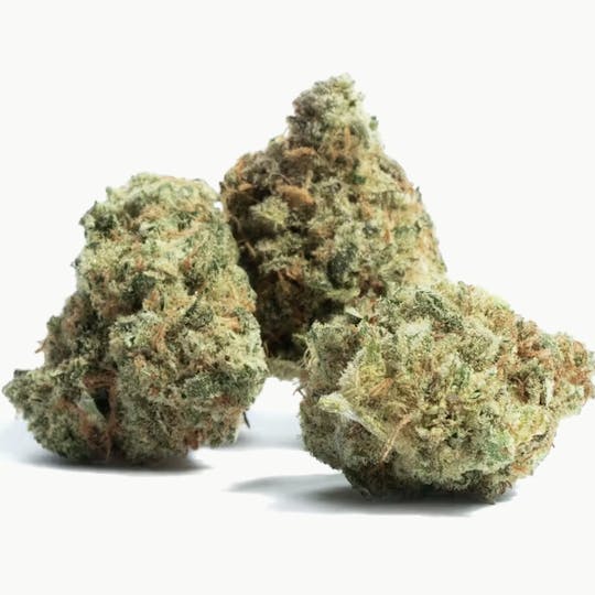 Animal - Pink Lemonade - Hybrid - 32% THC - 1