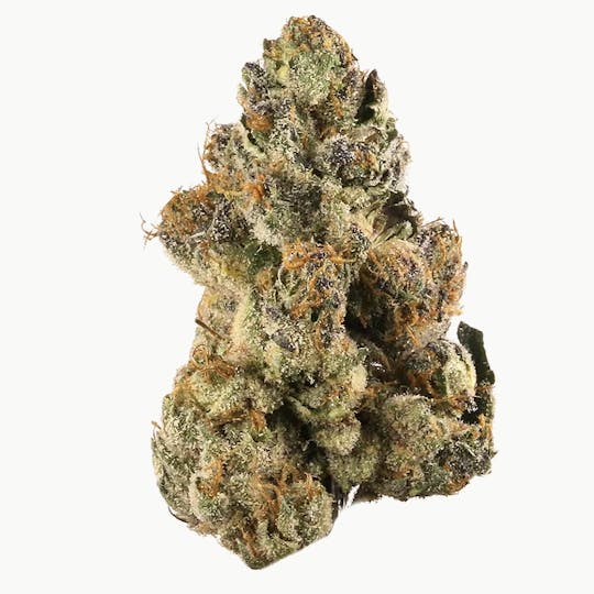 Animal - Cinnamon Gelato - Hybrid - 32% THC - 1