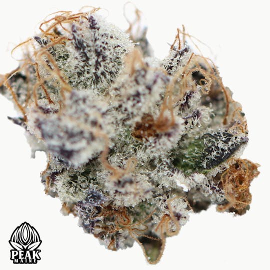 Peak Maine Cannabis - Economy - Mendo Mints # 10 - Peak Maine - 1