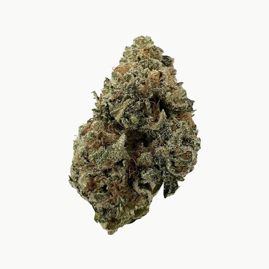 Indico - Barn Burner - Hoot Family Farms - 1