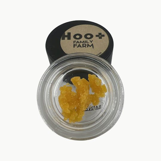 Indico - Barn Burner Badder - Hoot Family Farms - 1