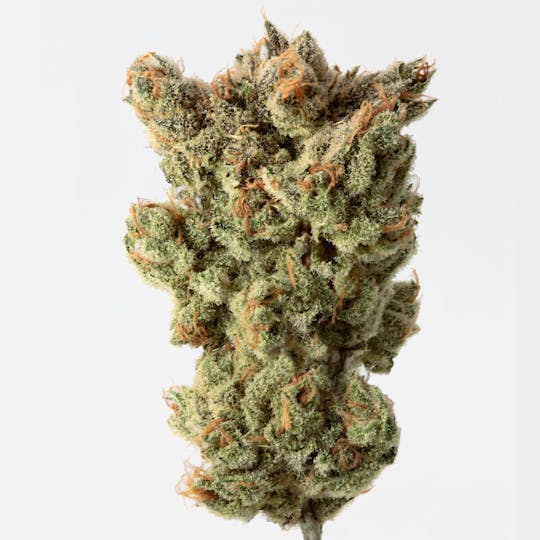 Cannassentials - Kushman's Grape Ape - 1