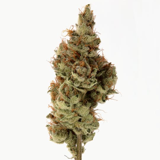 Cannassentials - Lambs Dough - 1