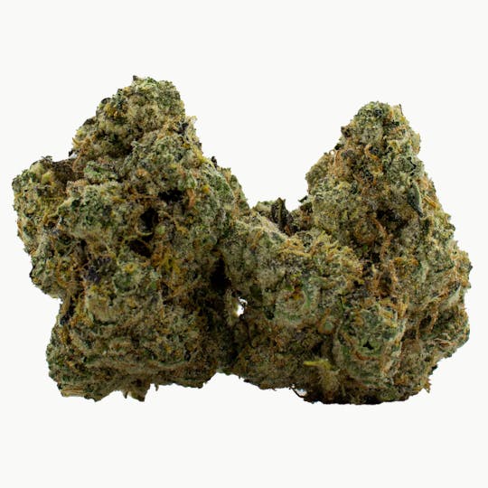 Nura - Glueberry - 1