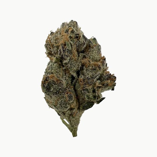 Indico - Alien Cookies - Fraktal Cannabis - 1
