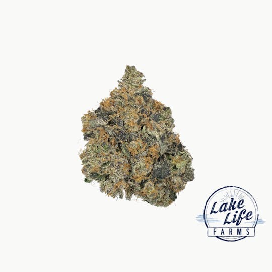 Lake Life Farms - Pfunny Bone - 1