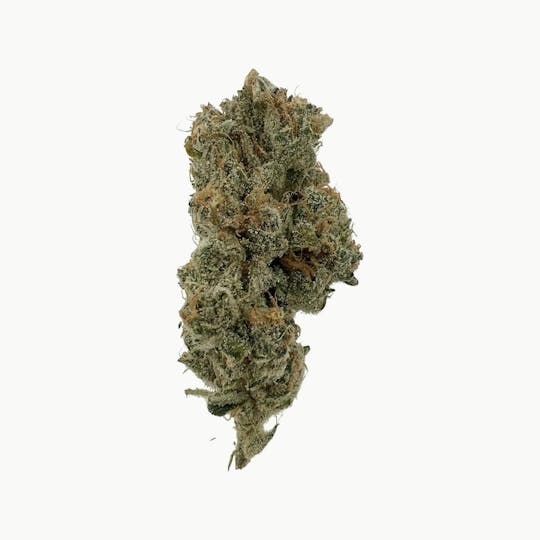 Indico - Alien Pharaoh - Fraktal Cannabis - 1