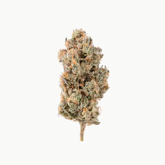 Brigid Farm - Chosen One #19 - 1