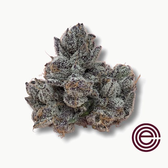 East Coast Cure - Blackberry Pann Cotta - 1