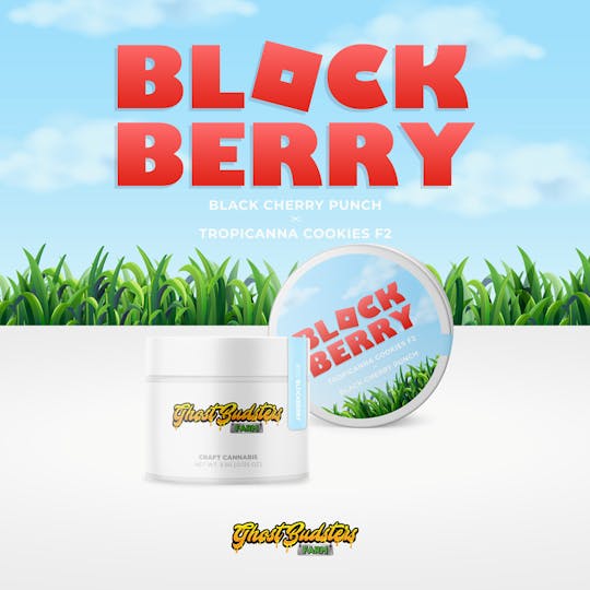 GhostBudsters Farm - BlockBerry | Pre-Packaged Eighth | GhostBudsters Farm - 1