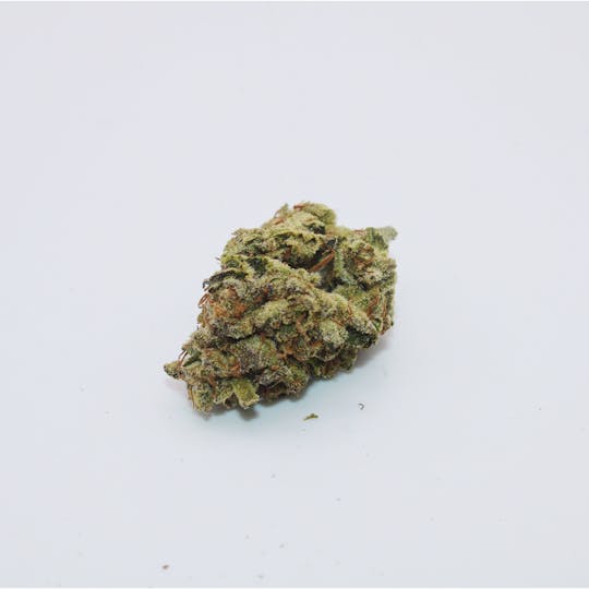 Trusty Transportations - Sherbet Candyland Ounce/28.3Grams (25% THC, SATIVA) - 1