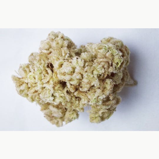 Animal - Dubai Gold - Hybrid - 34% THC - 1