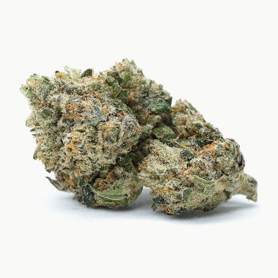 High Tide Organics - Gushers | Indoor - 1