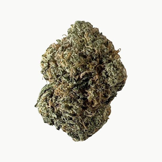Indico - Cherry Fritter - 1