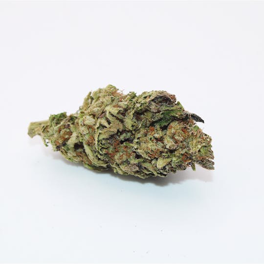 Trusty Transportations - Peanut Butter Breath Ounce/28.3Grams (31% THC, HYBRID) - 1