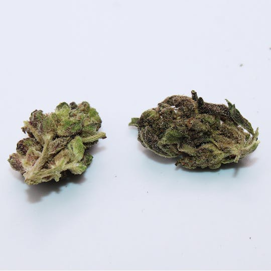 Trusty Transportations - Platinum Cookies Smalls 1/2 Ounce/14Grams (27% THC, HYBRID) - 1