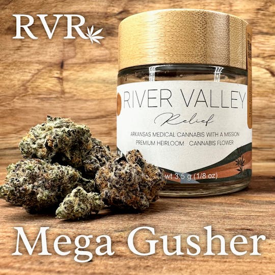 River Valley Relief - Mega Gusher Hybrid Flower - 1