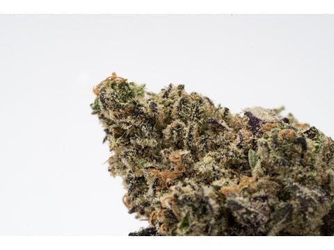 Green Sativa - Purple Kryptonite - 1