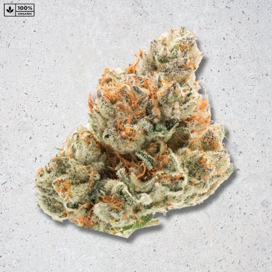 PARADISE SMOKES - Paradise Flower - White Peaches (3.5g) - 1