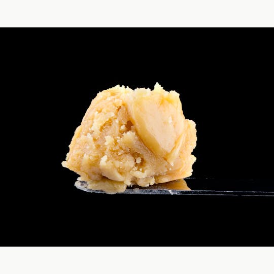 Brigid Farm - Larry Lobster - 1