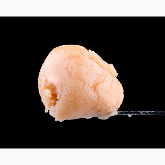 Brigid Farm - Lobster Bubbles - 1