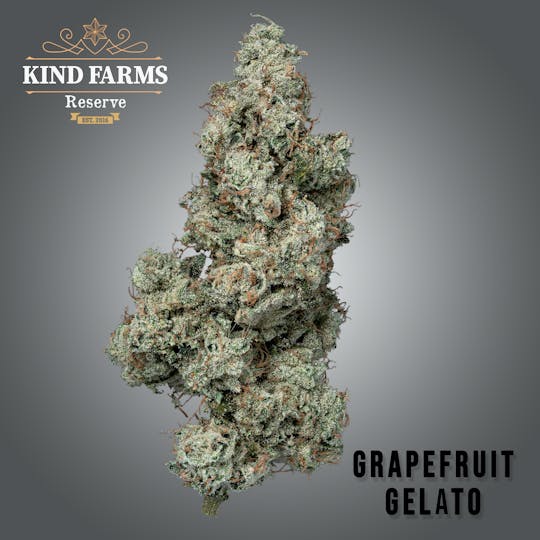 Kind Farms Reserve - Grapefruit Gelato - Kind Farms Reserve - 1