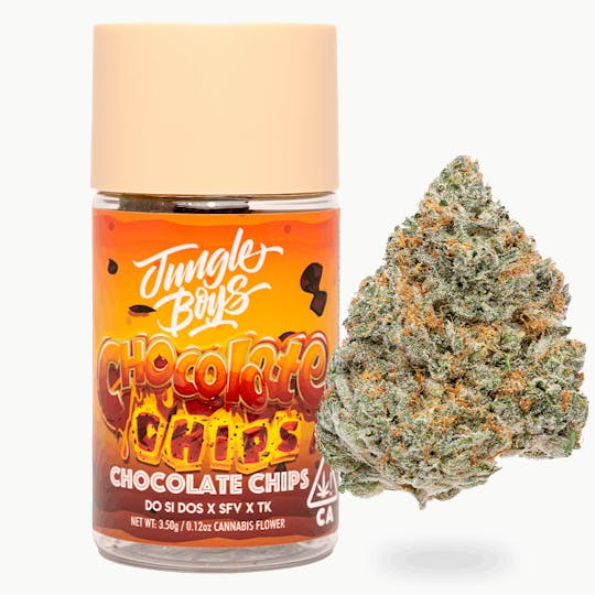 Jungle Boys - Jungle Boys | Chocolate Chips - 3.5g Flower Jar - 1
